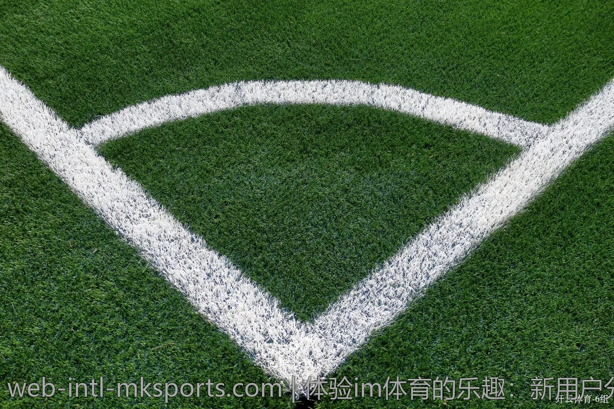 体验im体育的乐趣:新用户分享真实故事
