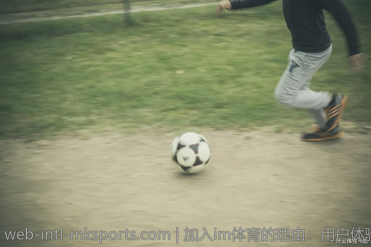 加入im体育的理由：用户体验分享与讨论