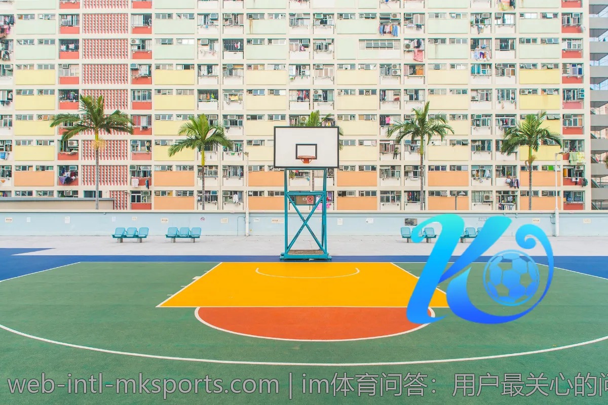 im体育问答：用户最关心的问题是什么？